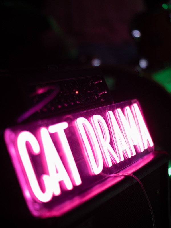 CAT DRAMA Photo